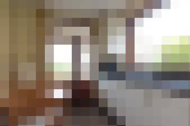 Elsenewal 31 Nieuwstadt thumbnail 10