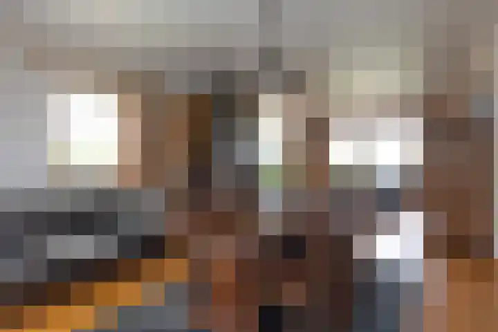 Elsenewal 31 Nieuwstadt thumbnail 12