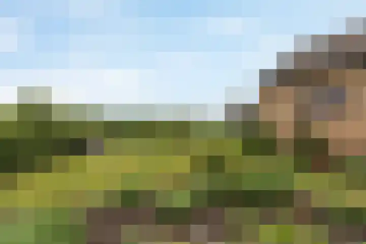Elsenewal 31 Nieuwstadt thumbnail 20