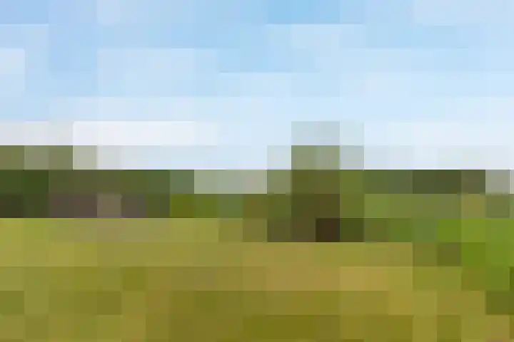 Elsenewal 31 Nieuwstadt thumbnail 21