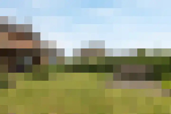 Elsenewal 31 Nieuwstadt thumbnail 23