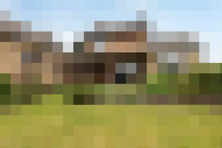 Elsenewal 31 Nieuwstadt thumbnail 25