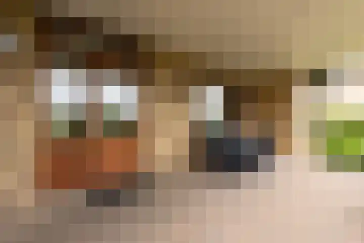 Elsenewal 31 Nieuwstadt thumbnail 26