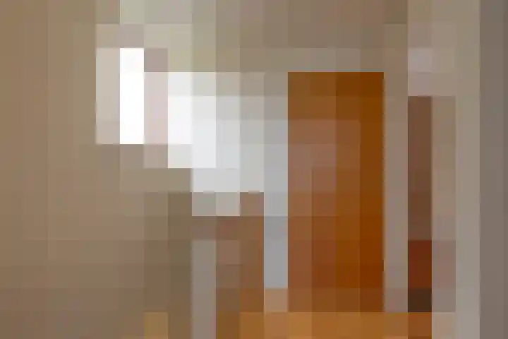 Elsenewal 31 Nieuwstadt thumbnail 27