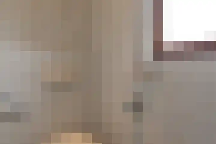 Elsenewal 31 Nieuwstadt thumbnail 33