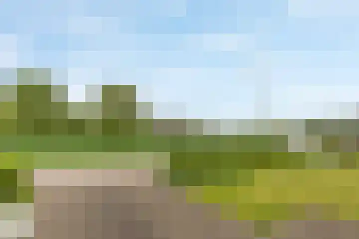 Elsenewal 31 Nieuwstadt thumbnail 4