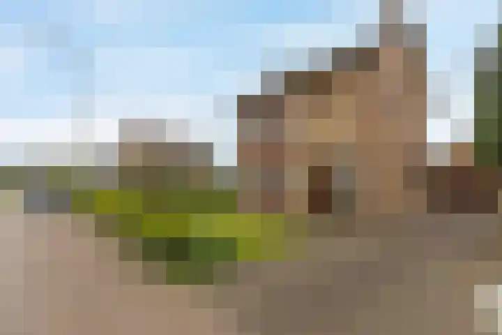 Elsenewal 31 Nieuwstadt thumbnail 5