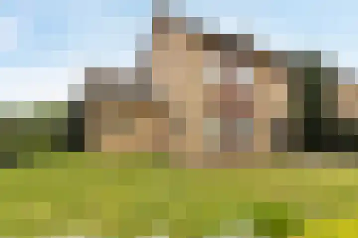 Elsenewal 31 Nieuwstadt thumbnail 6
