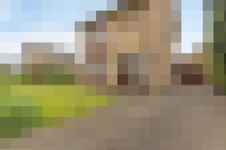 Elsenewal 31 Nieuwstadt thumbnail 7