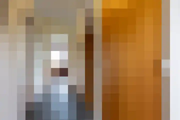 Elsenewal 31 Nieuwstadt thumbnail 8