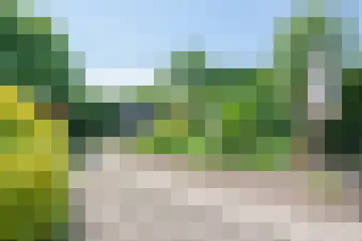 Elsenewal 37 Nieuwstadt thumbnail 16