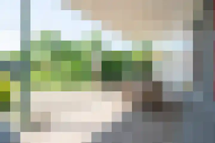 Elsenewal 37 Nieuwstadt thumbnail 17