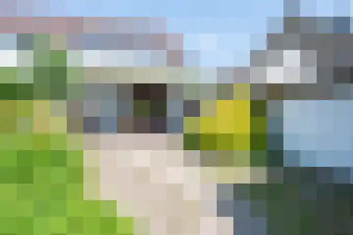Elsenewal 37 Nieuwstadt thumbnail 18