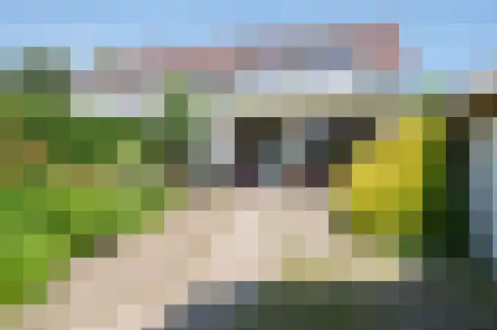 Elsenewal 37 Nieuwstadt thumbnail 19
