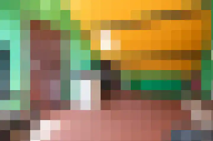 Elsenewal 37 Nieuwstadt thumbnail 31