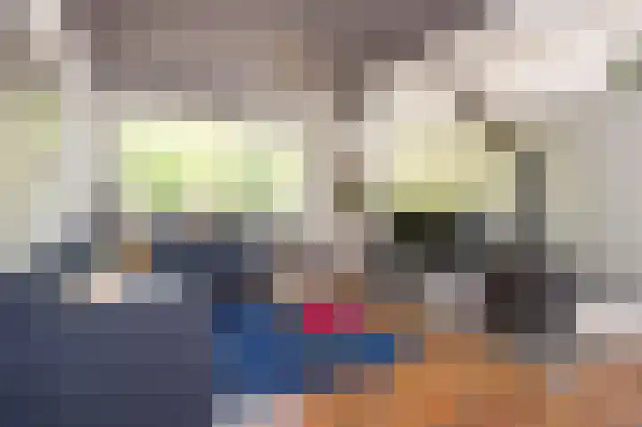 Elsenewal 37 Nieuwstadt thumbnail 8