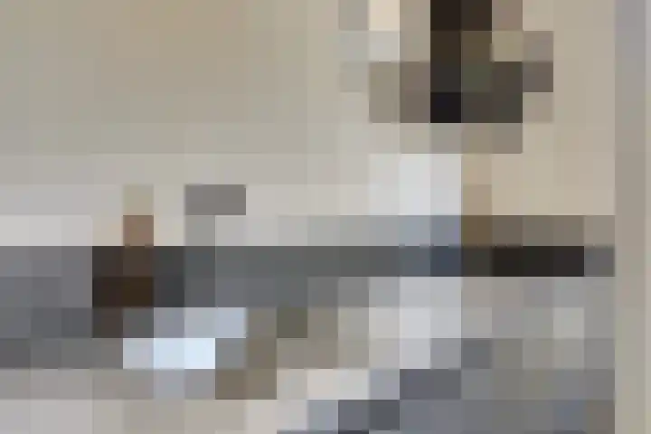 Elsenhoek 1 Rotterdam thumbnail 10