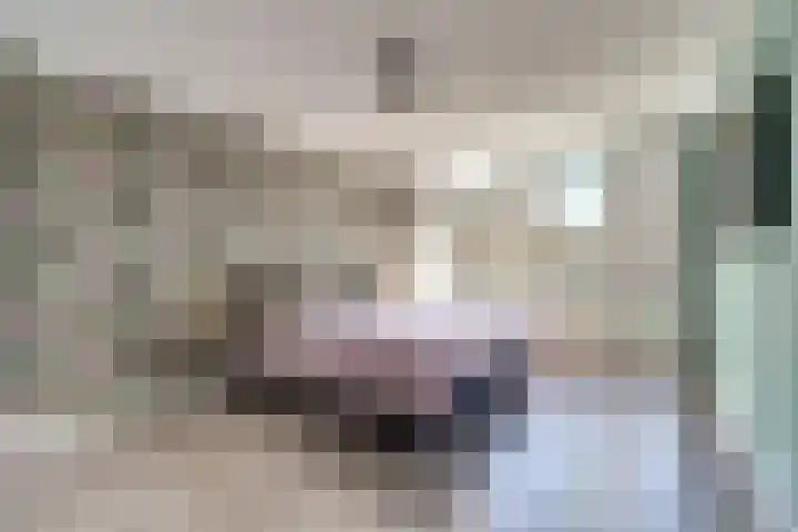 Elsenhoek 1 Rotterdam thumbnail 14