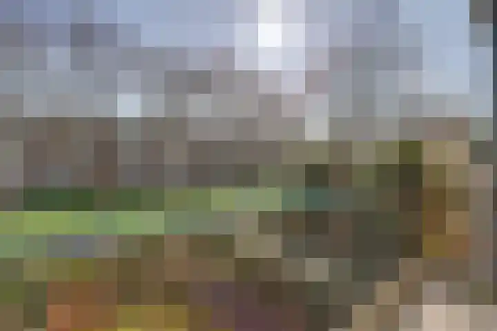 Elsenhoek 1 Rotterdam thumbnail 16