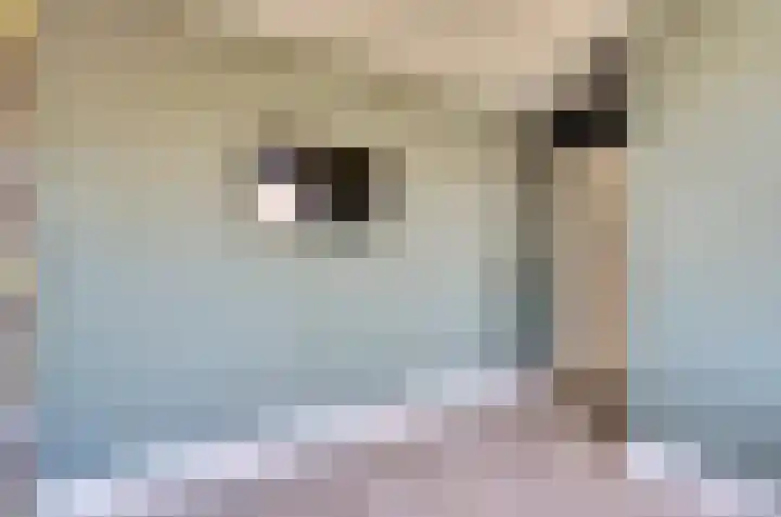 Elsenhoek 1 Rotterdam thumbnail 19