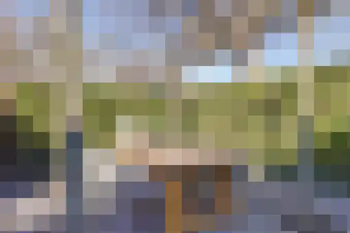 Elsenhoek 1 Rotterdam thumbnail 28