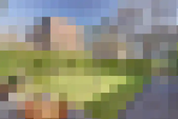 Elsenhoek 1 Rotterdam thumbnail 31