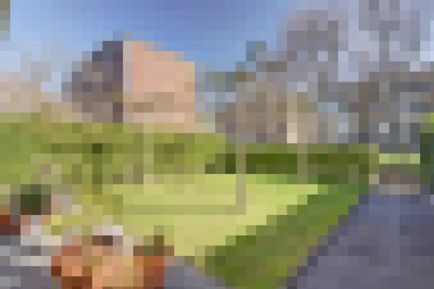 Elsenhoek 1 Rotterdam thumbnail 31