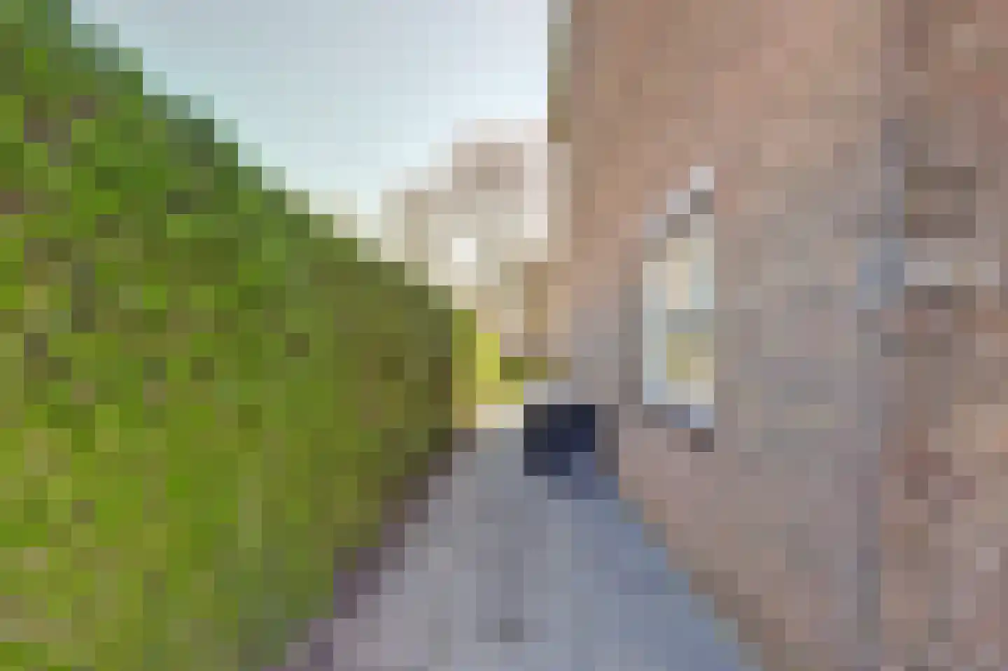Elsenhoek 1 Rotterdam thumbnail 32