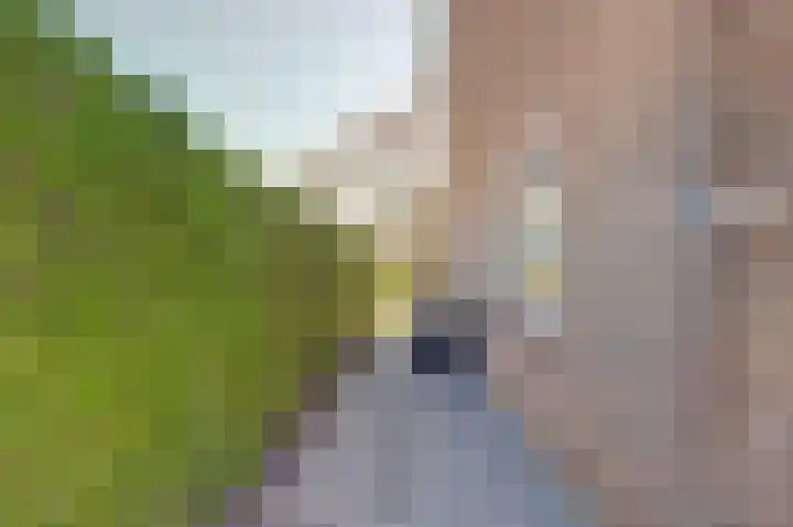 Elsenhoek 1 Rotterdam thumbnail 32