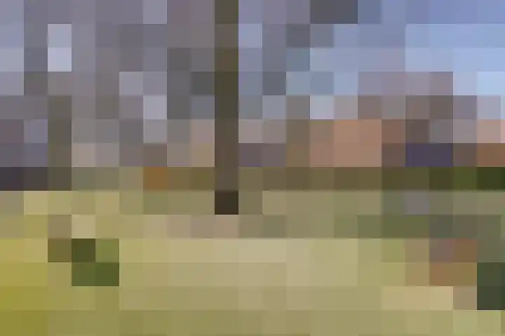 Elsenhoek 1 Rotterdam thumbnail 33