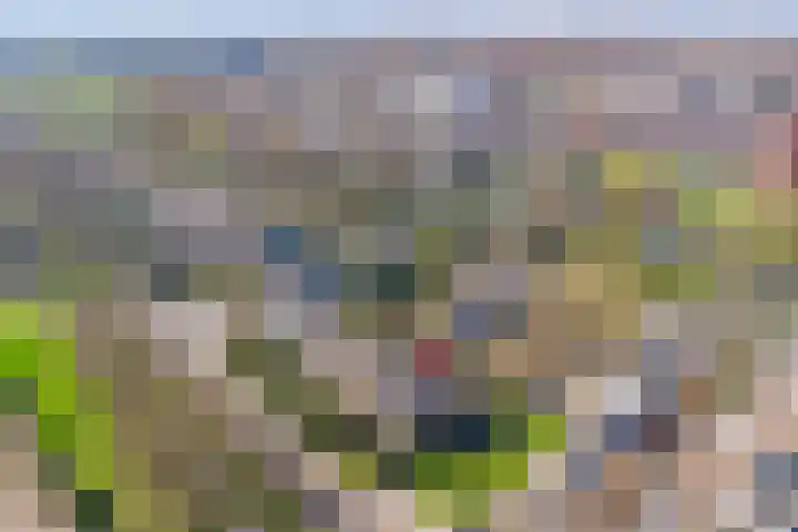 Elsenhoek 1 Rotterdam thumbnail 37