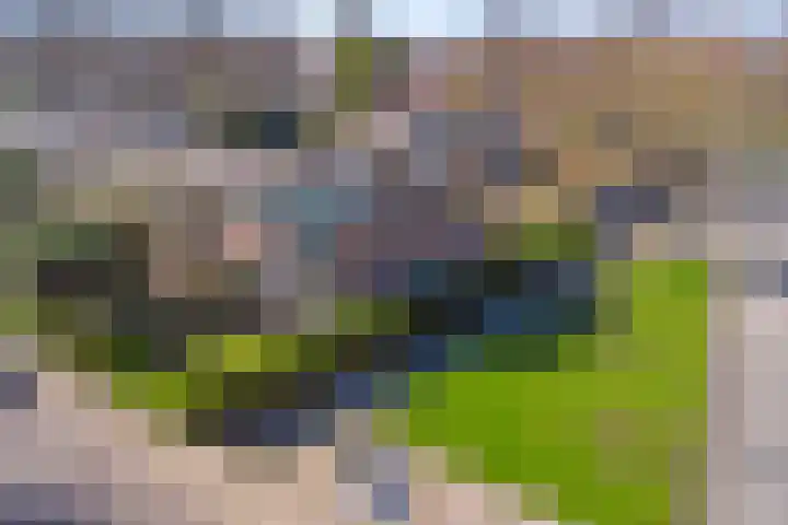 Elsenhoek 1 Rotterdam thumbnail 38