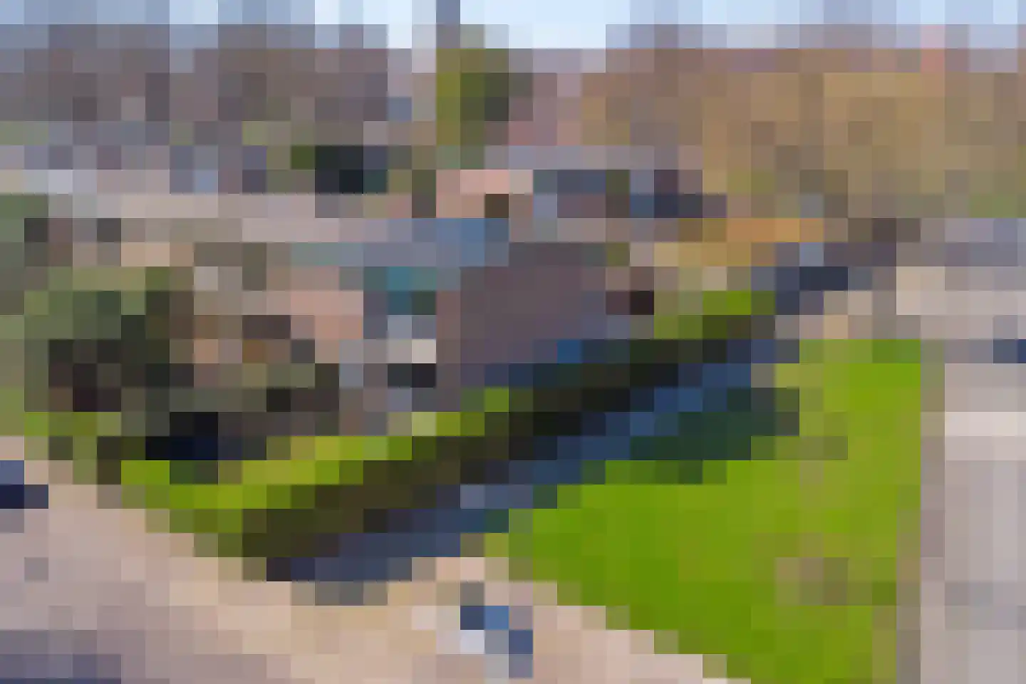 Elsenhoek 1 Rotterdam thumbnail 38
