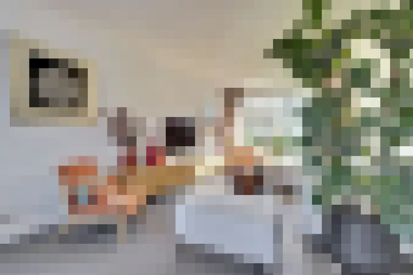 Elsenhoek 1 Rotterdam thumbnail 4