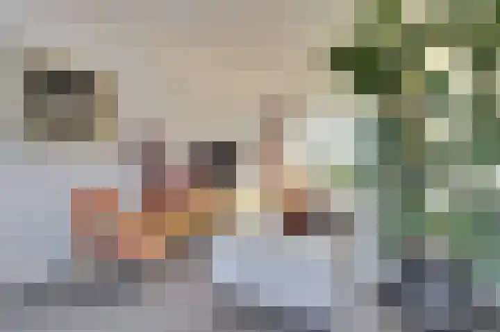 Elsenhoek 1 Rotterdam thumbnail 4