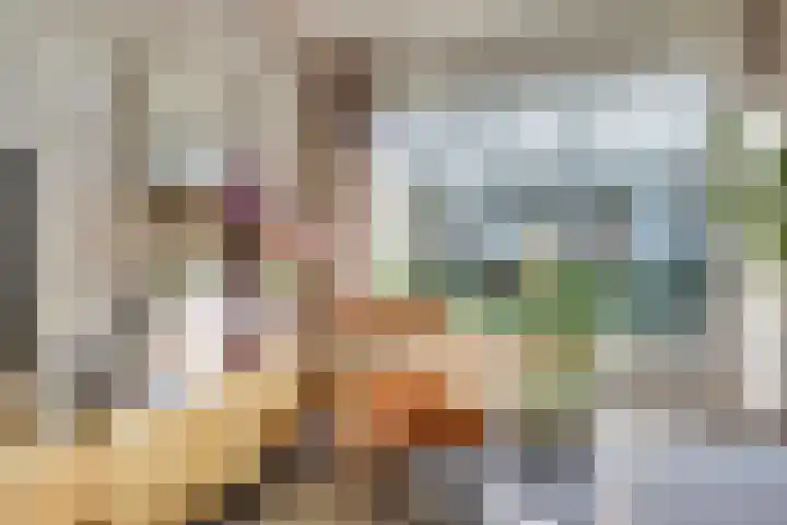 Elsenhoek 1 Rotterdam thumbnail 5