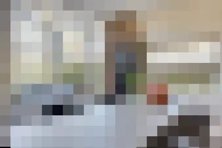 Elsenhoek 1 Rotterdam thumbnail 7