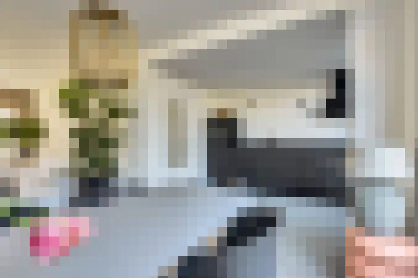 Elsenhoek 1 Rotterdam thumbnail 9