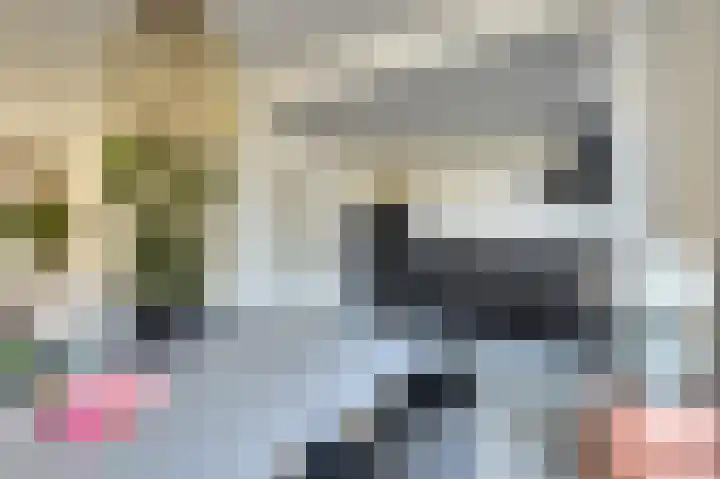 Elsenhoek 1 Rotterdam thumbnail 9