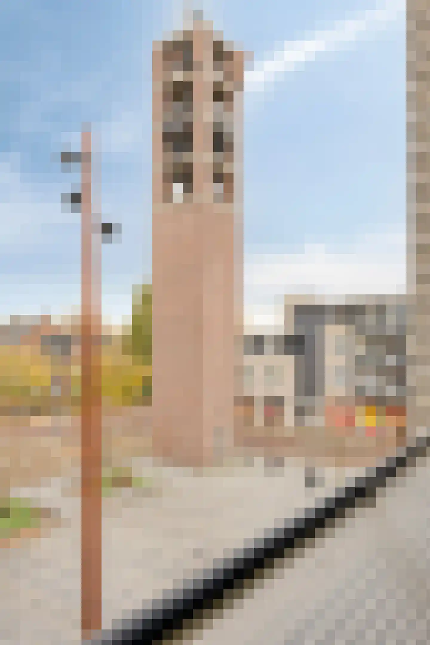 Elsenhof 32 Bergeijk thumbnail 35