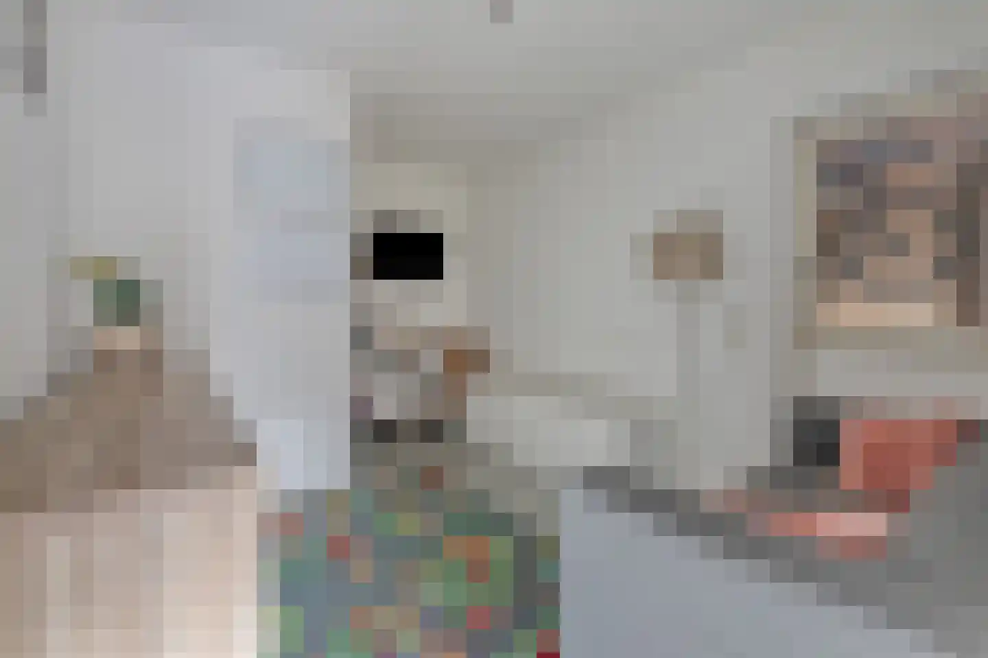 Elsenwas 2 Oirschot thumbnail 23