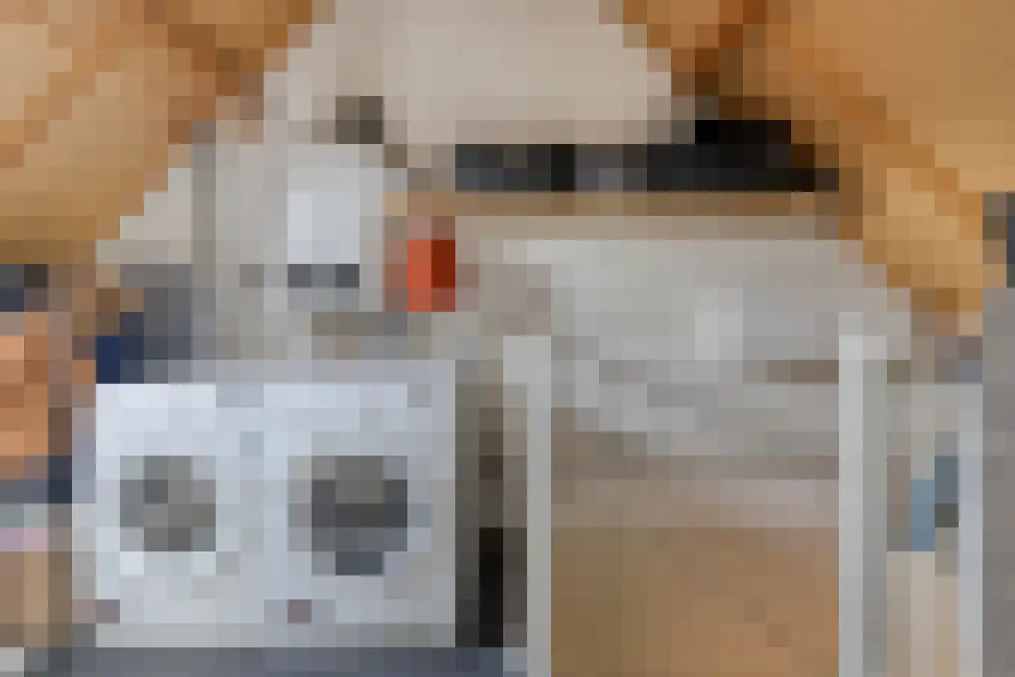 Elsenwas 2 Oirschot thumbnail 35