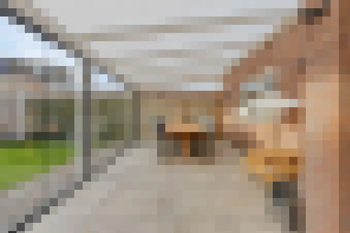 Elsenwas 2 Oirschot thumbnail 41