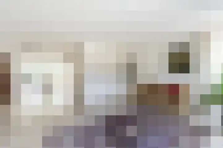 Elsenwas 20 Oirschot thumbnail 10