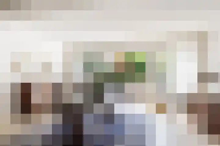 Elsenwas 20 Oirschot thumbnail 12