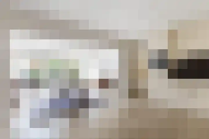 Elsenwas 20 Oirschot thumbnail 13