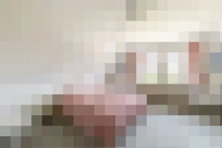 Elsenwas 20 Oirschot thumbnail 22