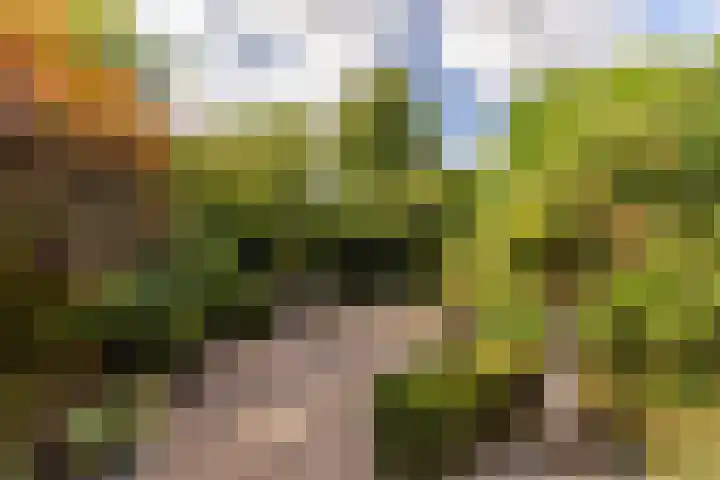 Elsenwas 20 Oirschot thumbnail 26