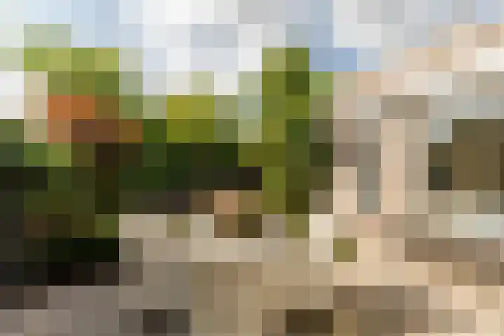 Elsenwas 20 Oirschot thumbnail 27
