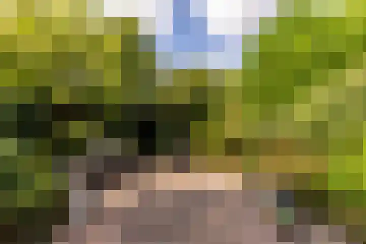 Elsenwas 20 Oirschot thumbnail 28